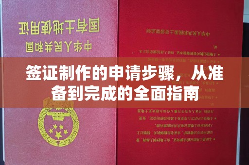 公安签证制作的申请步骤，从准备到完成的全面指南